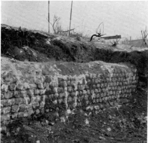 Fig.  10.  —  Mur ouest  des  thermes  en cours  de  dégagement  (1953). 