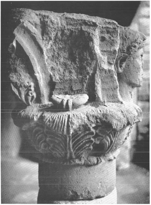 Fig.  6.  —  Chapiteau à  figures,  face  décorée  d'une  tête  mutilée  dont  il  ne  reste  que le  torques  à  double  tampon