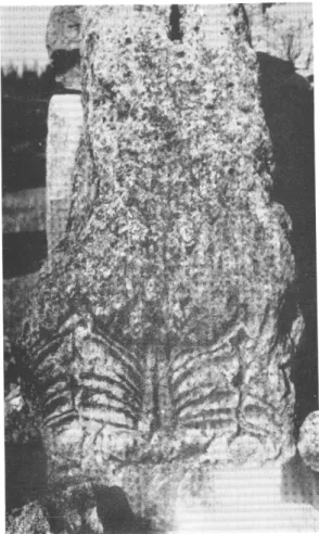 Fig.  11. — Restes d'un chapiteau de pilastre conservant  les  vestiges  d'une  décoration  semblable  à  celle  du 