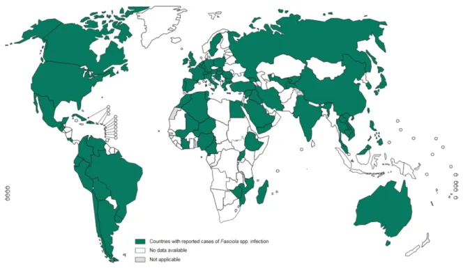 Figure 2 : Distribution de la fasciolose dans le monde, OMS 2017 