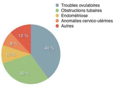 Figure 2 : Répartition des  différentes causes d’infertilité féminines.