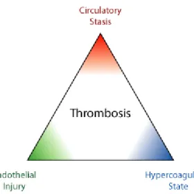 Figure 4 : La triade de Virchow 26 