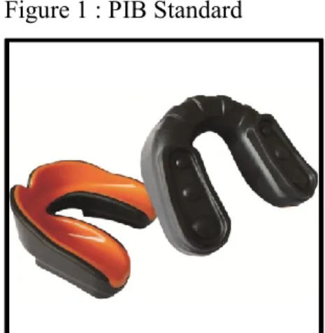 Figure 1 : PIB Standard 