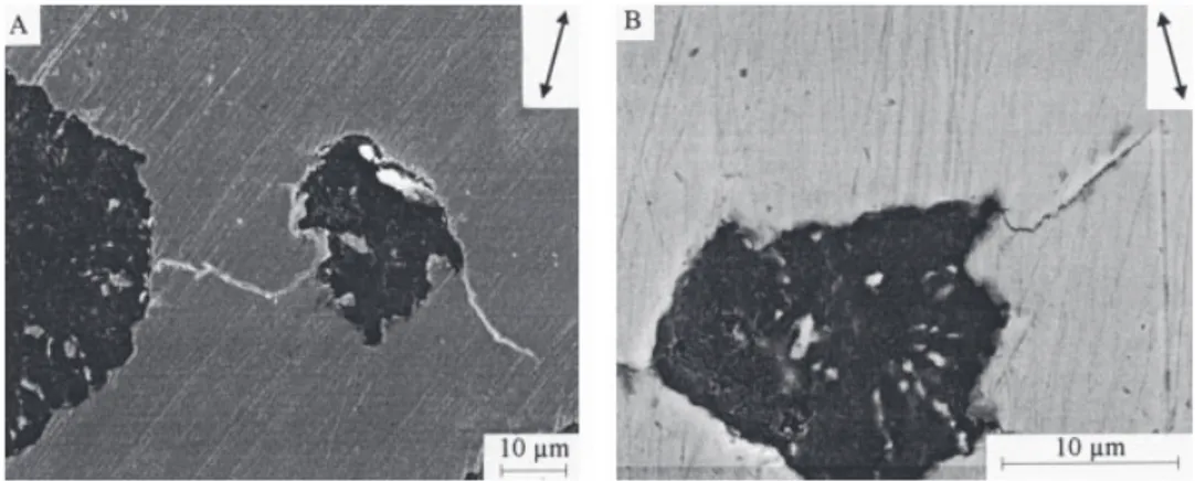 Fig. 3. SEM observations of a specimen surface loaded at (A) 280 MPa, (B) 268 MPa; each after 50,000 cycles