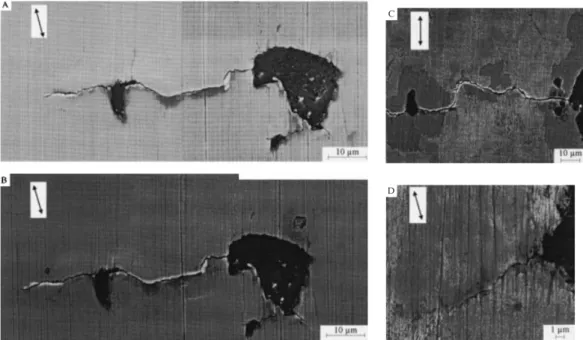 Fig. 4. SEM observations of a specimen surface. Arrows indicate loading direction. (A) loaded at 268 MPa for 150,000 cycles, (B) loaded at 268 MPa for 106 cycles