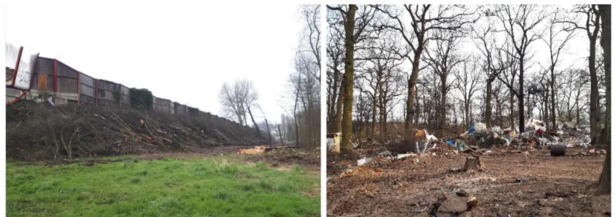 Figure 5 : Talus du Parc du Séminaire (gauche) et secteur du bois de Saint-Eutrope avec  évacuation (droite) (Source : Egis Environnement, 2018) 