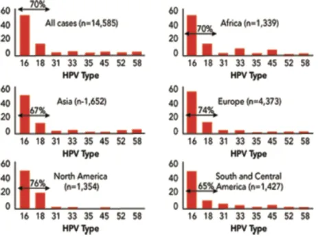 Figure  1  :  Prévalence  des  8  principaux  types  de  HPV  présents  dans  14  495  cas  de cancers invasifs du col de l'utérus (Figure tirée de la source 22)