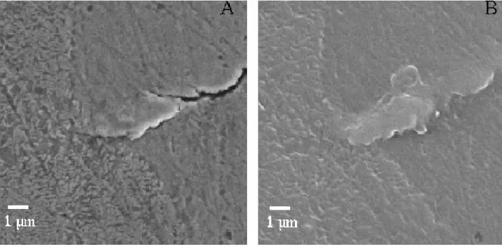 Fig. 6: Micro-crack and the three phases of the spheroidal graphite cast iron: graphite nodule, ferrite and pearlite matrix