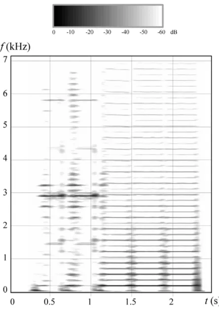 Figure 5: Time frequency analysis (spectrogram) of a squeak on a virtual instrument (sound of Track 1)