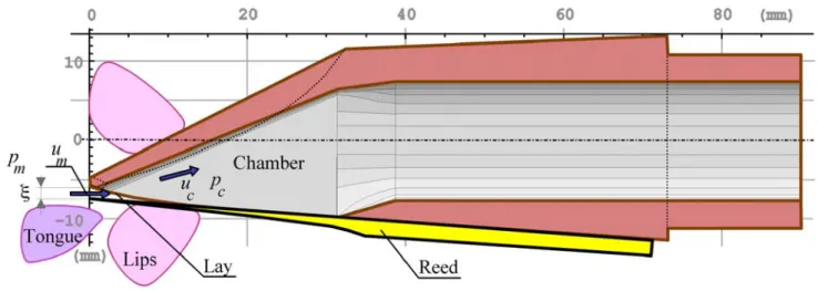 Figure 3: Section of the single reed mouthpiece and definition of the various physical quantities