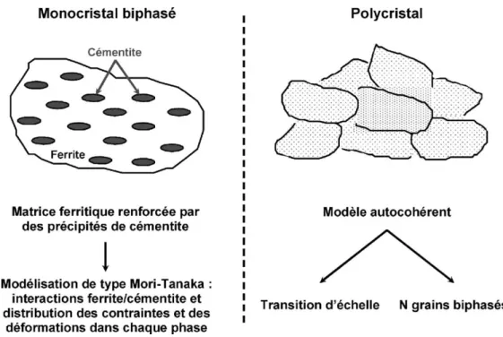 Fig. 10. Modélisation polycristalline à deux échelles.