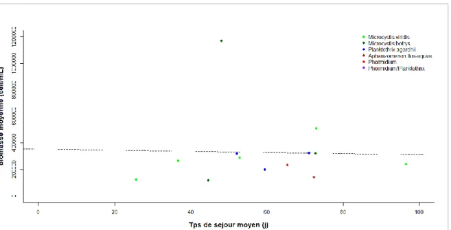 Figure  11 :  Relation  entre  le  temps  le  temps  de  séjour  moyen  lors  d’un  bloom  et  la  biomasse  moyenne  du  taxon  dominant sur la durée de ce bloom