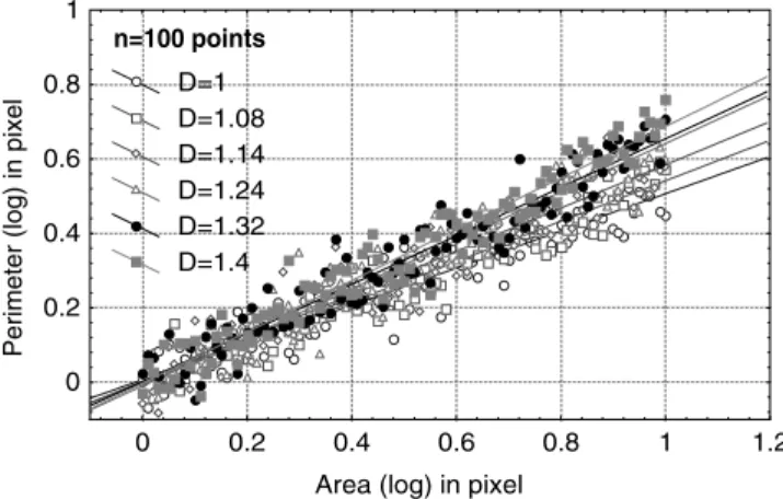 Fig. 5. First step of the Monte-Carlo algorithm: all pair log(Perimeter) versus log(Area) are simulated for fractal dimension varying between 1 and 1.4.