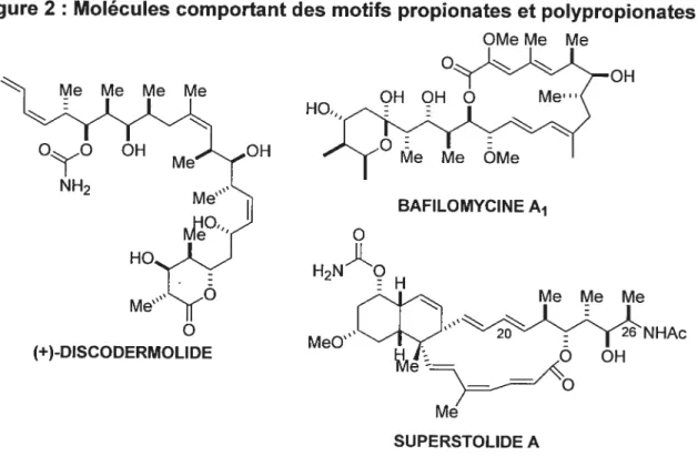 Figure 2: Molécules comportant des motifs propionates et polypropionates OMeMe Me OH BAFILOMYCINE A1 H2NÂO H MeMeMe !iie OH Me SUPERSTOLIDE A