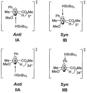 Figure 3 : La minimisation du dipôle intramoléculaire dans les réactions de réduction radicalaire ‘t t HSnBu3 Me C52Me MeO Syn lB HSnBu3 Me CO2Me MeC HJ34 Syn IIB