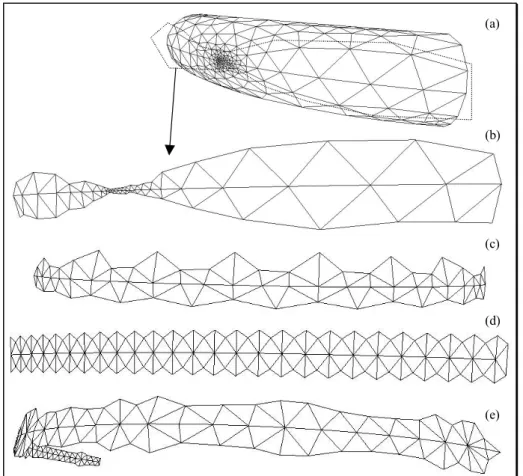 Figure 7: Various meshes of tori used for the computation of discrete mean curvatures using eq