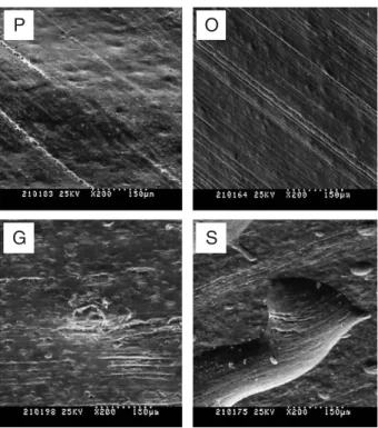 Fig. 9. Scanning Electron Microscope observations at low scales of the different polymer coatings surface topography after wear tests