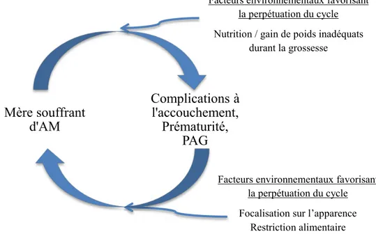 Figure 6 – Facteurs environnementaux favorisant la perpétuation du cycle de l'AM 