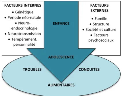 Figure 3 – Schéma interactif et développemental des différentes causes de troubles des conduites  alimentaires de l’enfant et de l’adolescent selon Doyen et Cook-Darzens (165) 