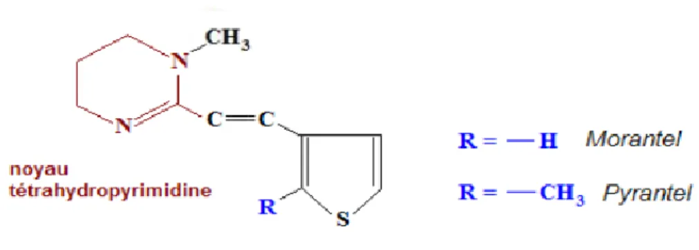 FIGURE 33 : structure générale des tétrahydropyrimidines 