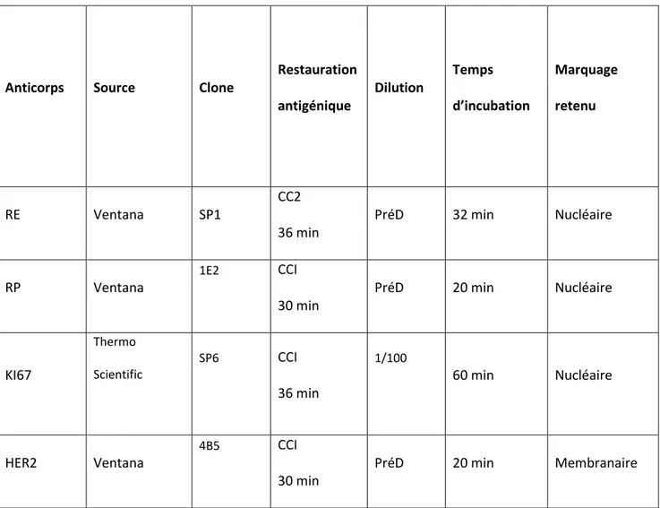 Tableau IV : Récapitulatif des procédures immunohistochimiques. 