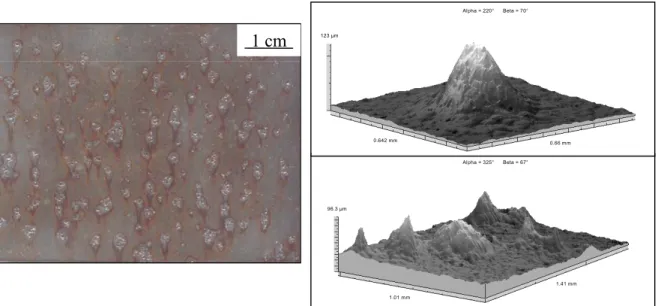 Fig. 1a shows the spatial distribution of the corrosion pits generated at the surface of the sample during this accelerated corrosion test