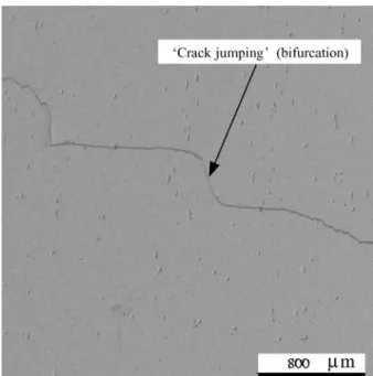 Fig. 5 SEM image of a ‘crack jump’ (bifurcation) as seen in the IR image in Fig. 4.