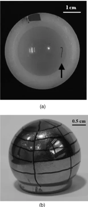 Fig. 1. Visualisation of (a) the retrieved UHMWPE acetabular liner with an embedded titanium fibermesh piece marked with a black arrow, (b) the retrieved 28 mm diameter titanium based femoral head and the lines drawn for the reference frame.