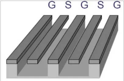 Figure 2.5 Differential coplanar transmission line in the form of GSGSG. 