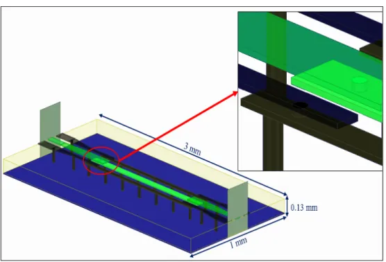 Figure 2.6 A transmission line and a zoom to the designed micro-via in this structure 