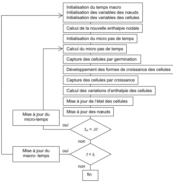 Figure 4 : Algorithme du modèle couplé automates cellulaires / éléments finis   Initialisation du temps macro 