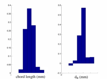 Figure 3: Visualization of the bubble arrangement for ventilated  flow 