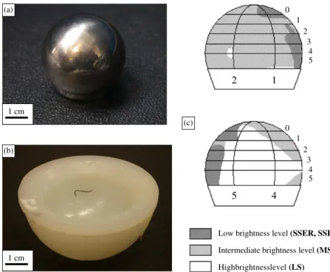 Fig. 1. (a) Retrieved titanium-based femoral head, (b) retrieved UHMWPE acetabular liner with an embedded titanium ﬁbermesh piece, (c) qualitative mapping of location and brightness level of the worn regions under study.