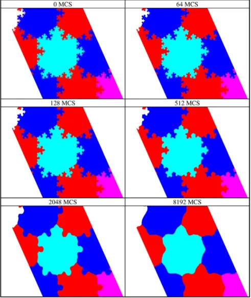 Figure 6 Heating simulation by Monte Carlo method. The initial fractal dimension of the shape is 1.5 with five iterations of the generator