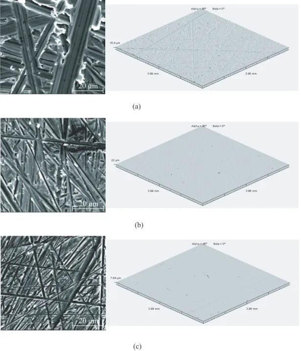 Fig. 1. Caract´ erisation des surfaces au microscope ´ electronique ` a balayage et au rugosim` etre tactile
