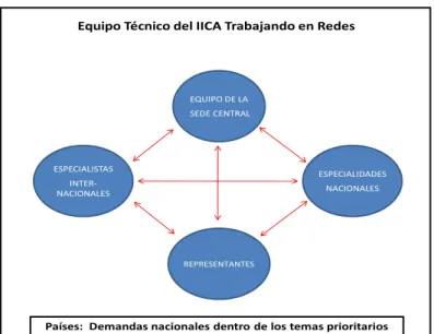 Figura 2. Dinámica del trabajo en red de los equipos técnicos del IICA. 