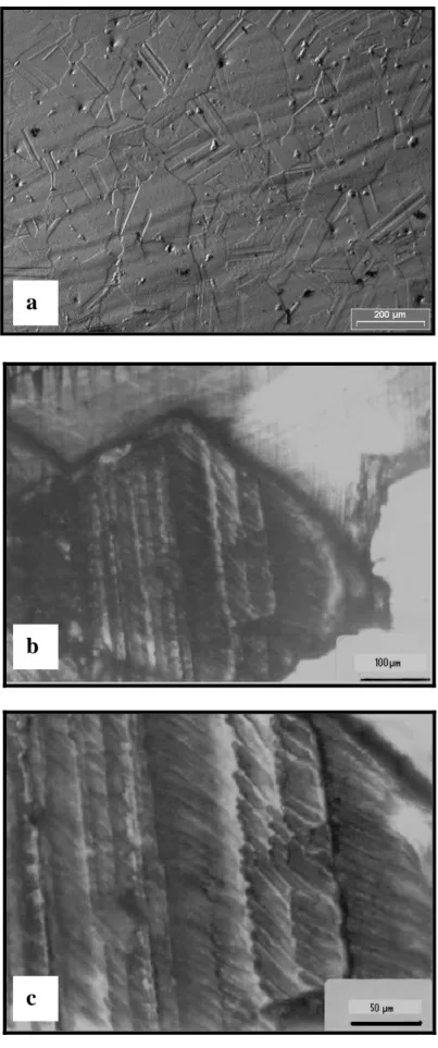 Figure 2            Figure  4 a b c 