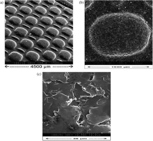 FIG. 3. SEM images of a plate surface under three magniﬁcations ( 3 20, 3 80, 3 2500).