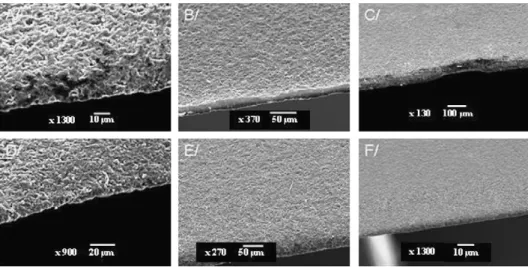 Fig. 5. SEM observations of the cutting edge after sand-blasting for 1 (A–C) or 2 cycles (D–F) and CrAlN deposition.