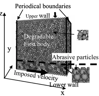 FIGURE 2 Simulated domain.