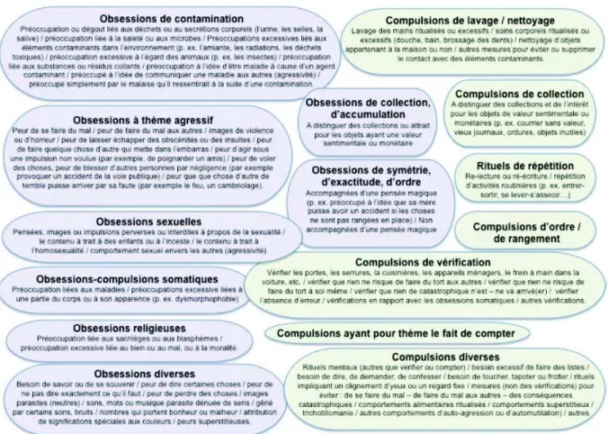 Figure 2 : Les différents types de symptômes de la check-list de la Y-BOCS (Clair, 2009) 