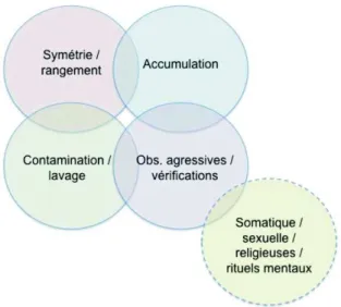 Figure 3 : Représentation schématique des 4 dimensions de Leckman (1997) et de la 5 e  isolée  par Mataix-Cols (2006) d'après les principaux symptômes de la Y-BOCS 