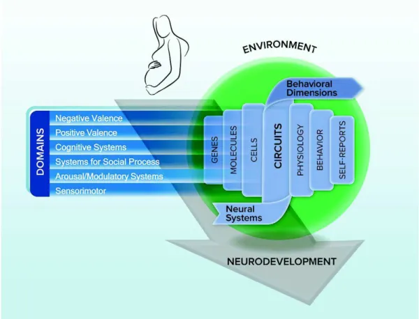 Figure 5 : La matrice RDoC (Sanislow et al., 2019) 