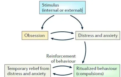 Figure 8 : Modèle comportemental du TOC (Pauls et al., 2014) 