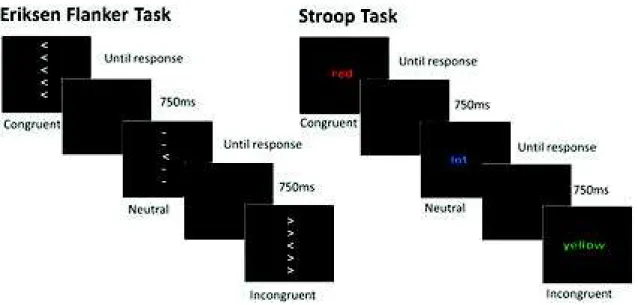 Figure 13 : La Flanker task et la tâche de Stroop (Hedge et al., 2018) 