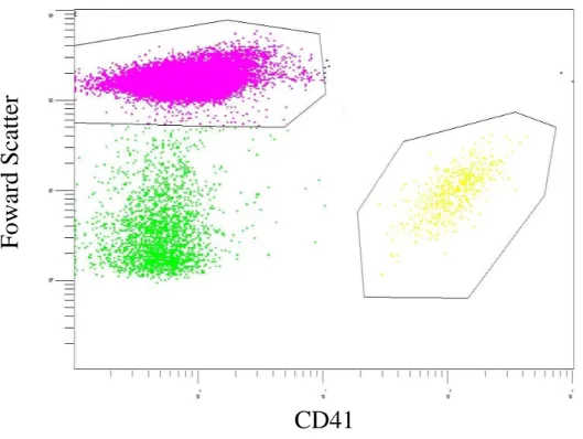 Figure n°11 : graphique représentant les cellules marquées par le CD41 en fonction de  leur taille (Foward Scatter) sur l’automate Navios