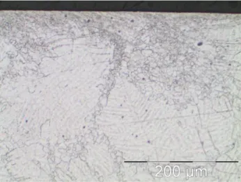 Fig.  4:  dendritic  and  recrystallized  grains  cohabiting  in  the  sample  (observed after etching) 
