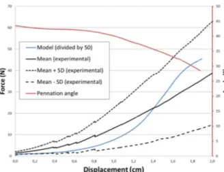 Figure  2:  Example  of  force/displacement  curve  (blue)  and  pennation-angle/displacement  curve  (red)  for  a  MTC  with  muscle’s  length  =  134  mm,  tendon's  length  =  20.1  mm,  central  width  =  16.1  mm and pennation angle = 45°