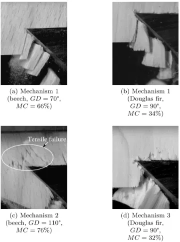 Table 1: Mean longitudinal properties of green beech and Douglas fir (Bodig and Jayne, 1982)
