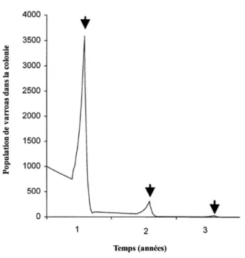 Figure 1-6 Impact d’un traitement acaricide annuel (efficacité de contrôle &gt; 99%) sur  le développement de la population de Varroa destructor prédit par une modélisation